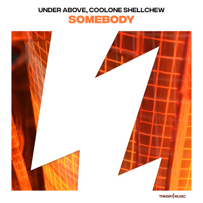 Under Above & Coolone Shellchew