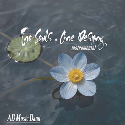 Two Souls, One Destiny (Instrumental)/AB Music Band