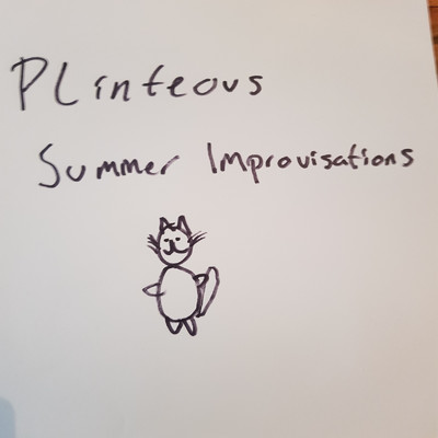 アルバム/Summer Improvisations/PLinteous