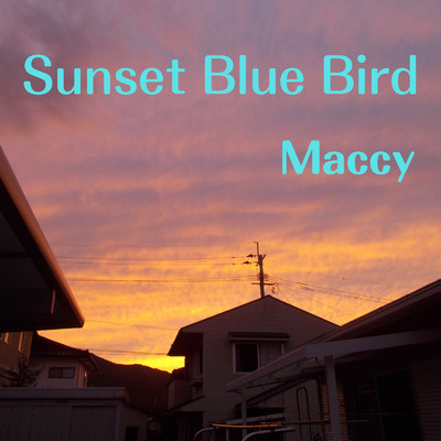 Sunset Blue Bird/Maccy
