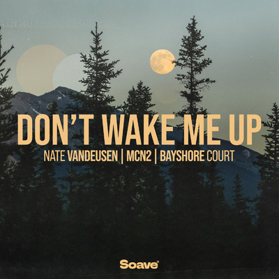 Don't Wake Me Up/Nate VanDeusen