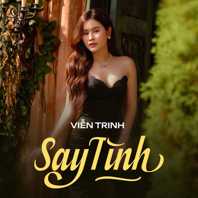 シングル/Say Tinh/Vien Trinh