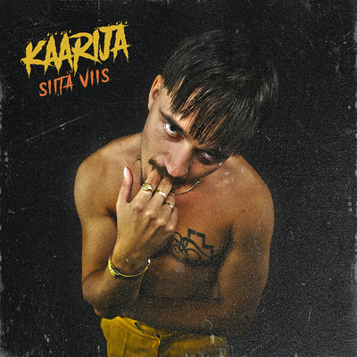 アルバム/Siita viis/Kaarija
