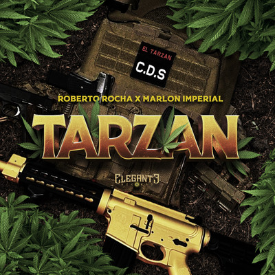 Tarzan/Roberto Rocha