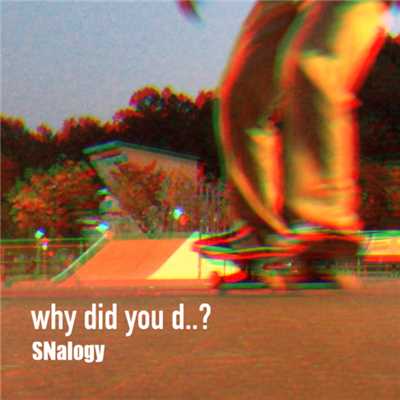 シングル/Why did you d..？/SNalogy