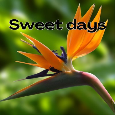 アルバム/Sweet days/2strings