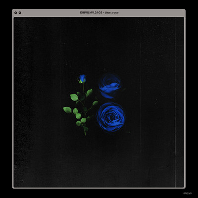 Blue Rose/anpyo