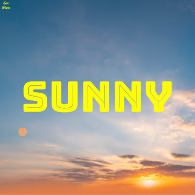 アルバム/Sunny/VenoFlex