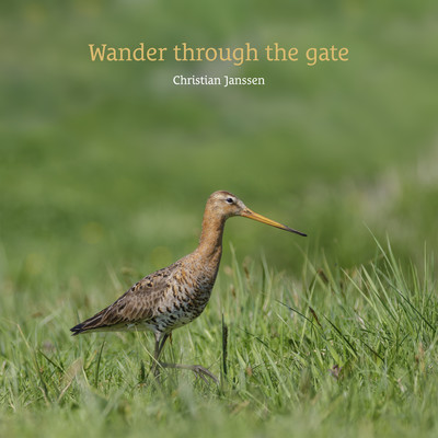 Wander through the gate/Christian Janssen