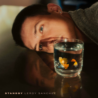 シングル/Stay For A While/Leroy Sanchez