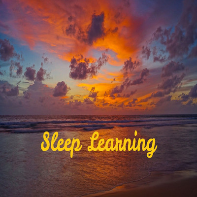 アルバム/Sleep Learning/Pain associate sound