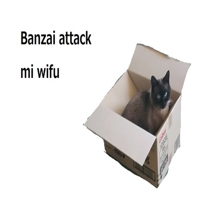 Banzai attack to mi wifu/Suicide methods
