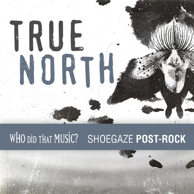 True North Post-Rock/Ehren Ebbage