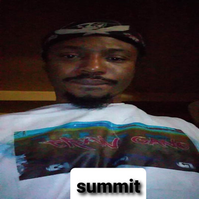 Summit/Young december army ant 88