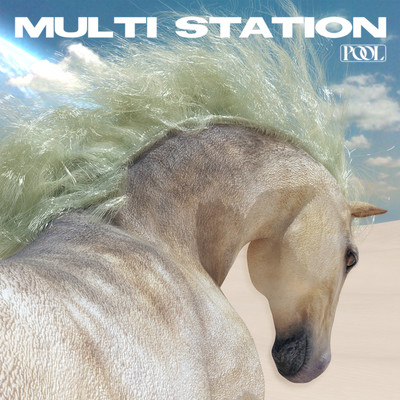 シングル/Multi Station/POOL
