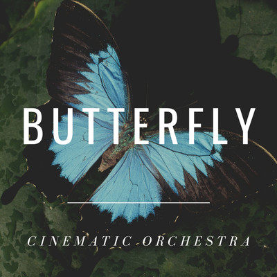 アルバム/BUTTERFLY/CINEMATIC ORCHESTRA