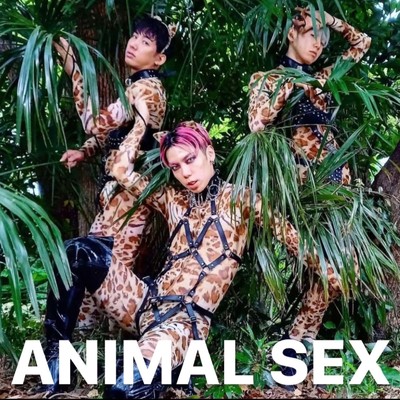 シングル/Animal Sex/IG