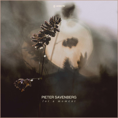 シングル/For A Moment/Pieter Savenberg