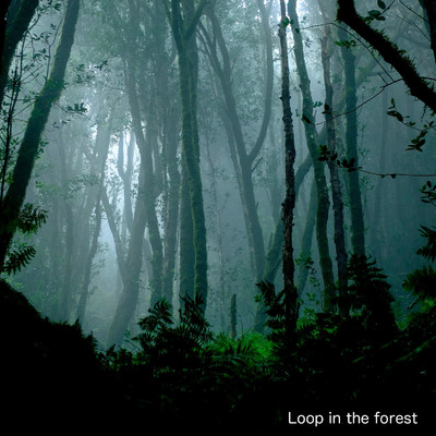 Loop in the forest/Standing East