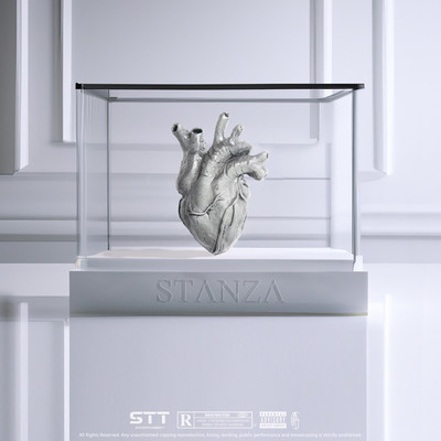 Stanza/STT