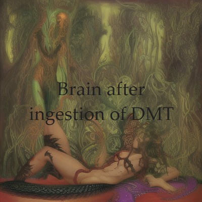 Brain after ingestion of DMT/Scientific Sound Source