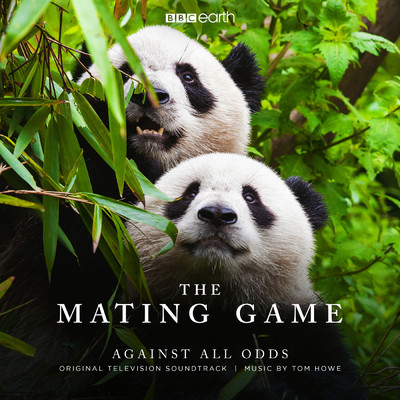 アルバム/The Mating Game - Against All Odds (Original Television Soundtrack)/トム・ホウ