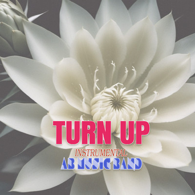 Turn Up (Instrumental)/AB Music Band