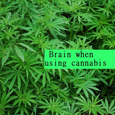 シングル/Brain when using cannabis/Scientific Sound Source