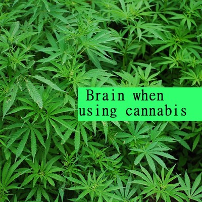 Brain when using cannabis/Scientific Sound Source