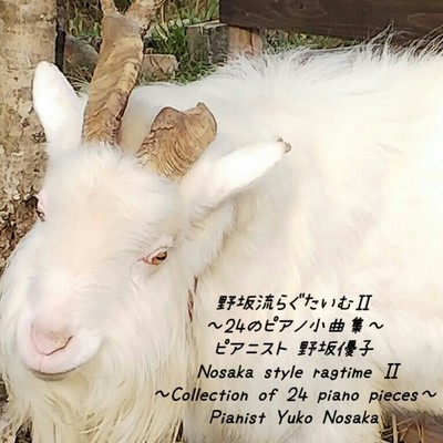 野坂流らぐたいむII〜24のピアノ小曲集〜/野坂優子