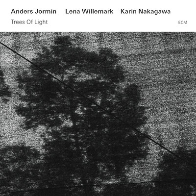 Trees Of Light/Lena Willemark／Karin Nakagawa／アンデルス・ヨルミン