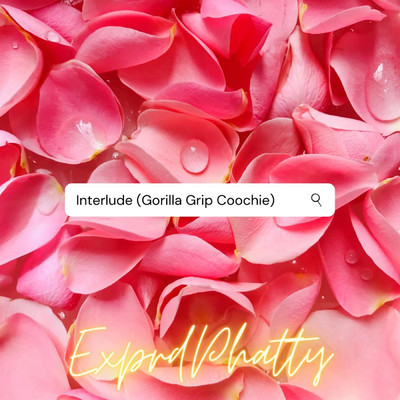 Interlude (Gorilla Grip Coochie)/ExprdPhatty