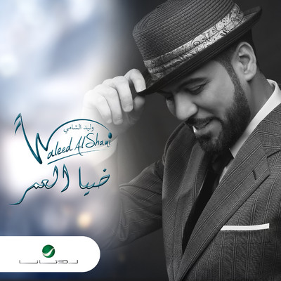 Diaa Al Amr/Waleed Al Shami