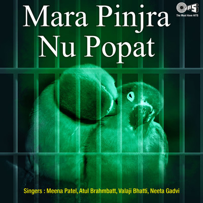 アルバム/Mara Pinjra Nu Popat/Shailesh Utpal