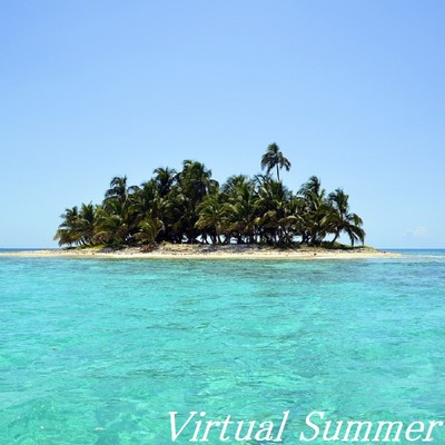 Virtual Summer/TandE