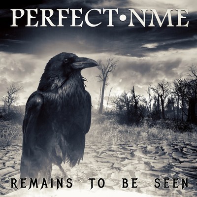 Remains To Be Seen/PERFECT NME
