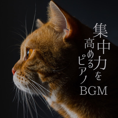 アルバム/集中力を高めるピアノBGM/Piano Cats