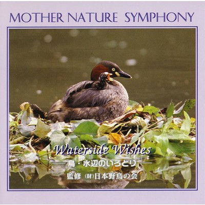 MOTHER NATURE SYMPHONY Waterside Wishes-鳥・水辺のいろどり/エディ・ランバート