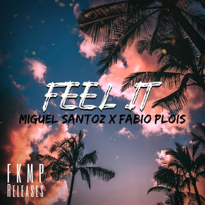 Feel It/Fabio Plois & Miguel Santoz