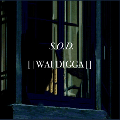 アルバム/S.O.D./Wafdigga