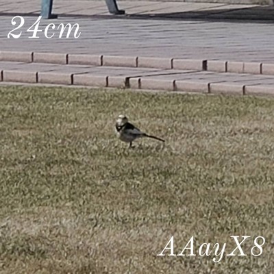 24cm/AAayX8