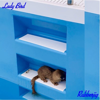 シングル/Lady Bird/RUBBERJIG