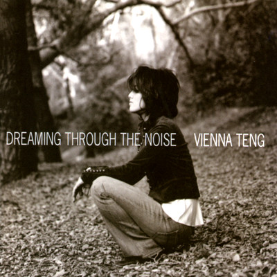 Dreaming Through The Noise/ヴィエナ・テン