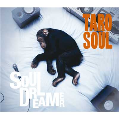 シングル/Soul Dreamer (Instrumental)/TARO SOUL