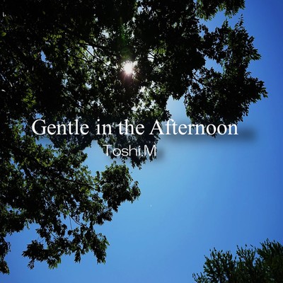 アルバム/Gentle in the Afternoon/Toshi.M