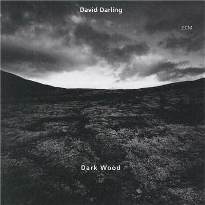 New Morning (Darkwood VII)/デヴィッド・ダーリング