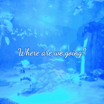 Where are we going？/GUMI