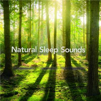 アルバム/自然と眠れるリラクゼーション・ミュージック -癒しの疲労回復BGM-/ALL BGM CHANNEL
