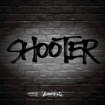 シングル/SHOOTER/LUMiRiSE