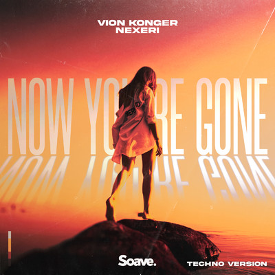 シングル/Now You're Gone (Techno Version)/Vion Konger & Nexeri